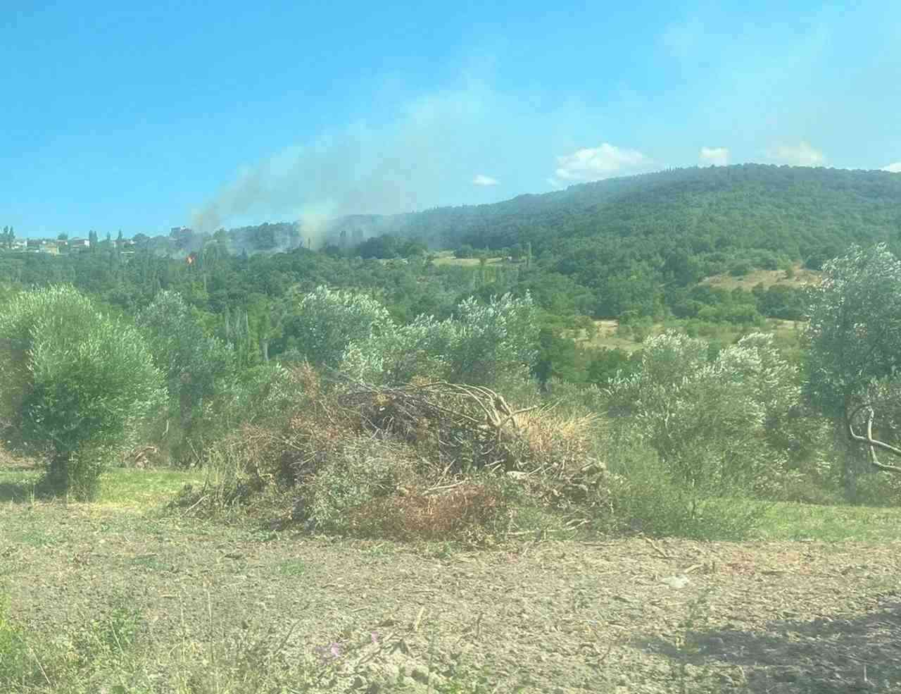 Çanakkale’nin Lapseki ilçesinde tarım arazisinde başlayarak ormanlık alana sıçrayan yangının,