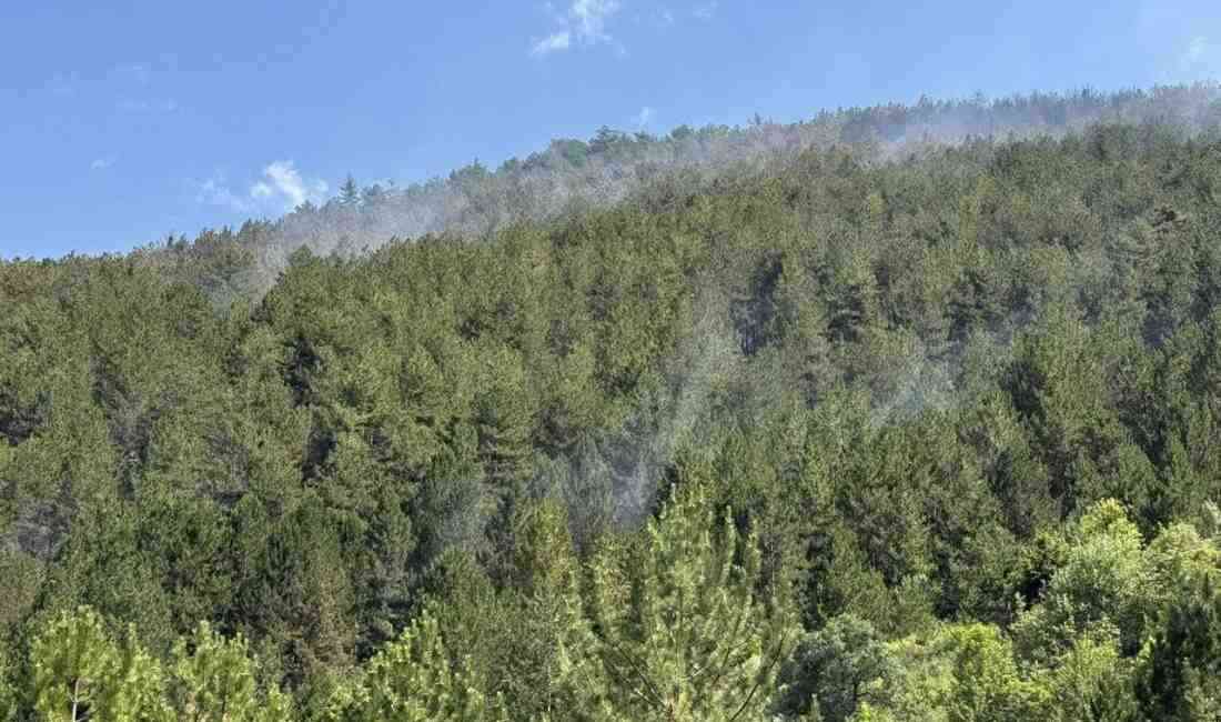 Çankırı’nın Ilgaz ilçesinde çıkan orman yangını, ekiplerin hızlı müdahalesiyle kontrol