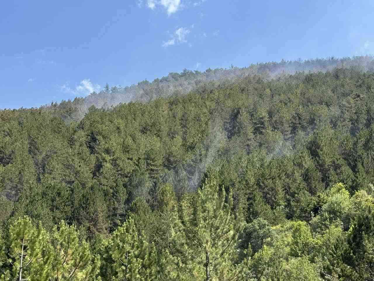 Çankırı’nın Ilgaz ilçesinde çıkan orman yangını, ekiplerin hızlı müdahalesiyle kontrol