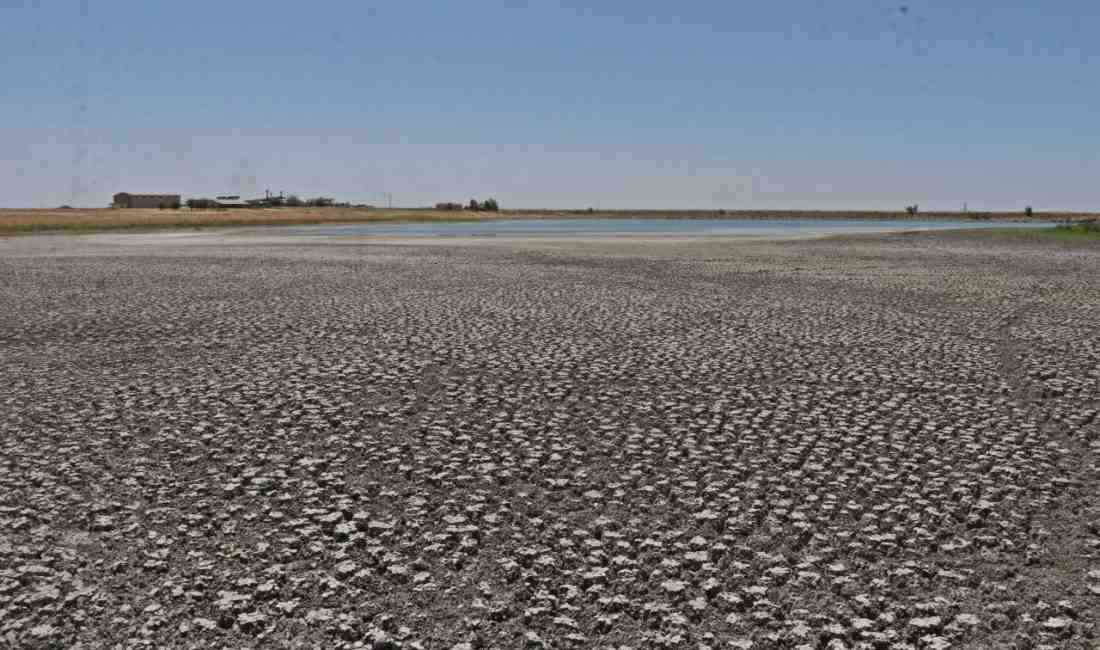 Diyarbakır’da Dicle Üniversitesi yerleşkesinde bulunan ve yaklaşık 150’den fazla kuş