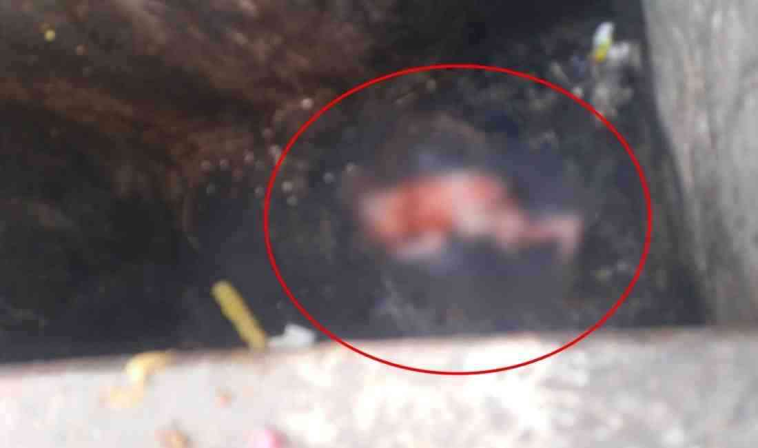 Elazığ’ın Kültür Mahallesi’nde meydana gelen olayda, yabancı uyruklu bir kadın,