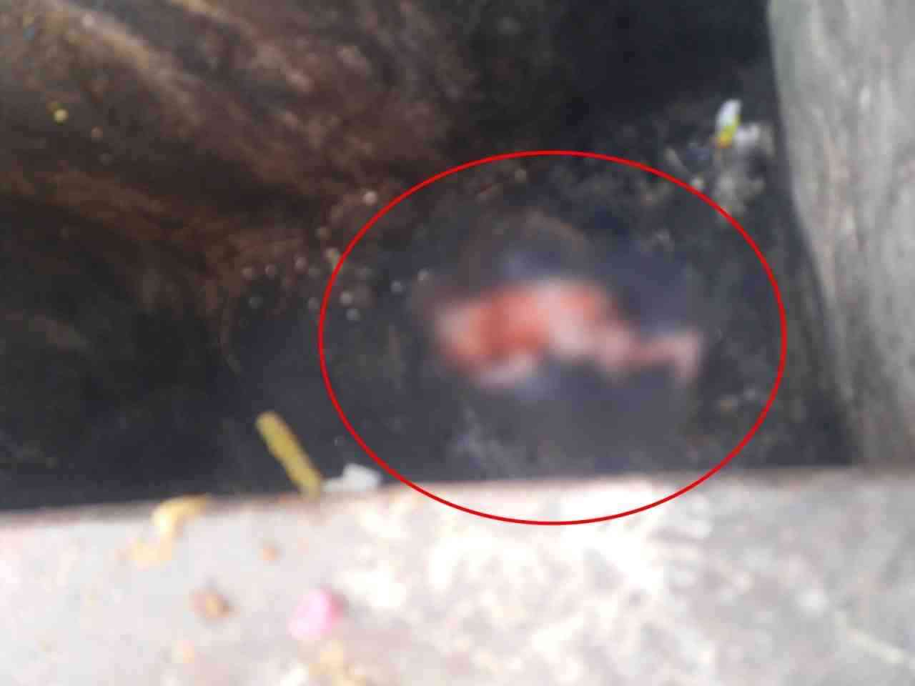 Elazığ’ın Kültür Mahallesi’nde meydana gelen olayda, yabancı uyruklu bir kadın,