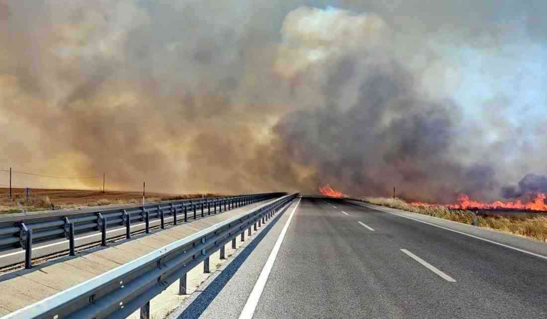 Edirne’nin Havsa ilçesi yakınlarında bulunan buğday ve ayçiçeği tarlalarında çıkan