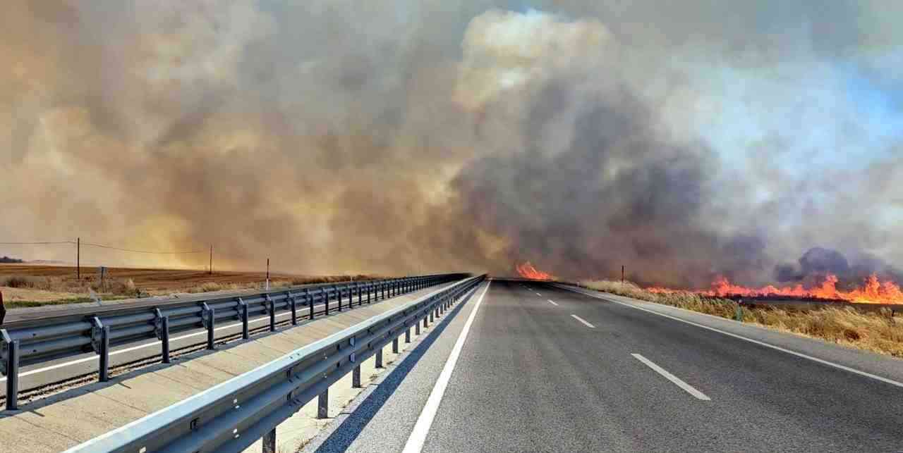 Edirne’nin Havsa ilçesi yakınlarında bulunan buğday ve ayçiçeği tarlalarında çıkan