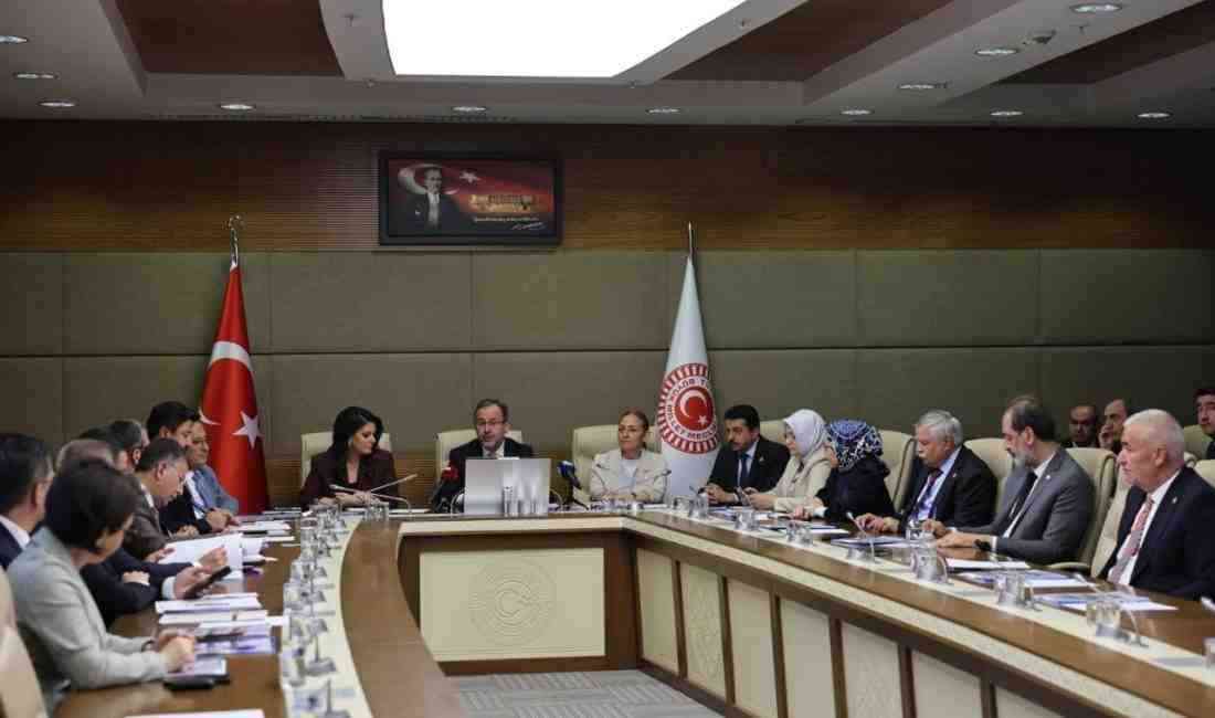 Türkiye Büyük Millet Meclisi (TBMM) Engelli Bireylerin Sorunlarını Araştırma Komisyonu,