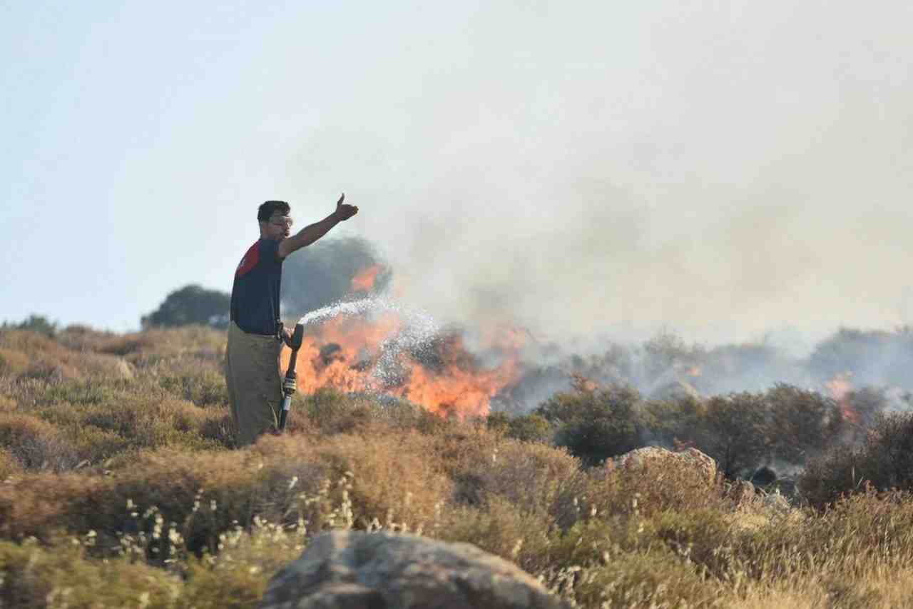İzmir’in Çeşme ilçesine bağlı Ildır Mahallesi yakınlarındaki tarım arazisinde çıkan