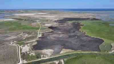 Mersin’in Silifke ilçesinde koruma altındaki Göksu Deltası Kuş Cenneti’nde çıkan