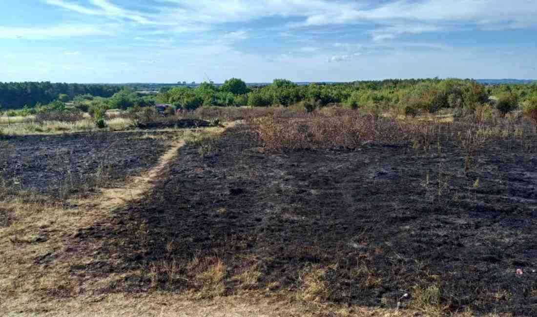 İngiltere’nin başkenti Londra’da dün öğle saatlerinde başlayan orman yangını kontrol