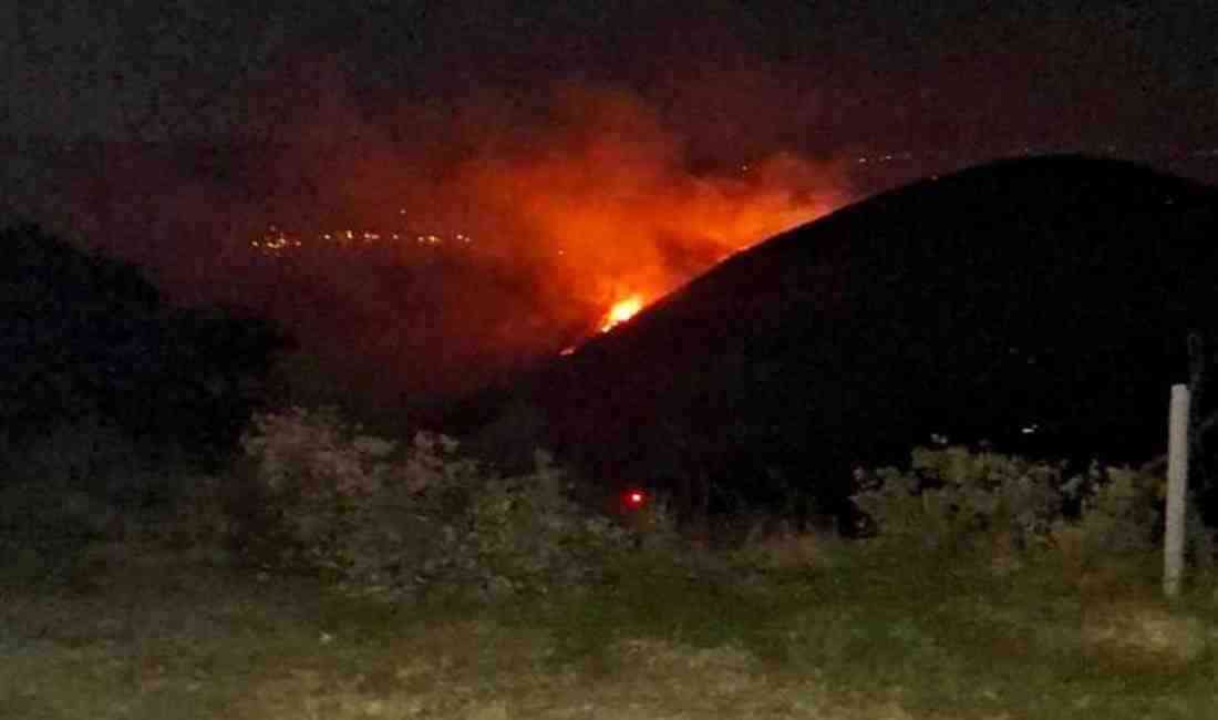 Rüzgar Alevlerin Yayılmasını HızlandırdıManisa’nın Sarıgöl ilçesi Ziyanlar Mahallesi Türkmen Tepe