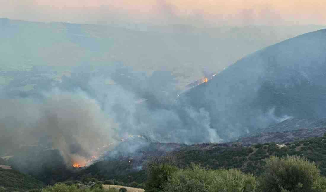 Yangın Rüzgarın Etkisiyle Hızla YayılıyorManisa’nın Sarıgöl ilçesine bağlı Ziyanlar Mahallesi