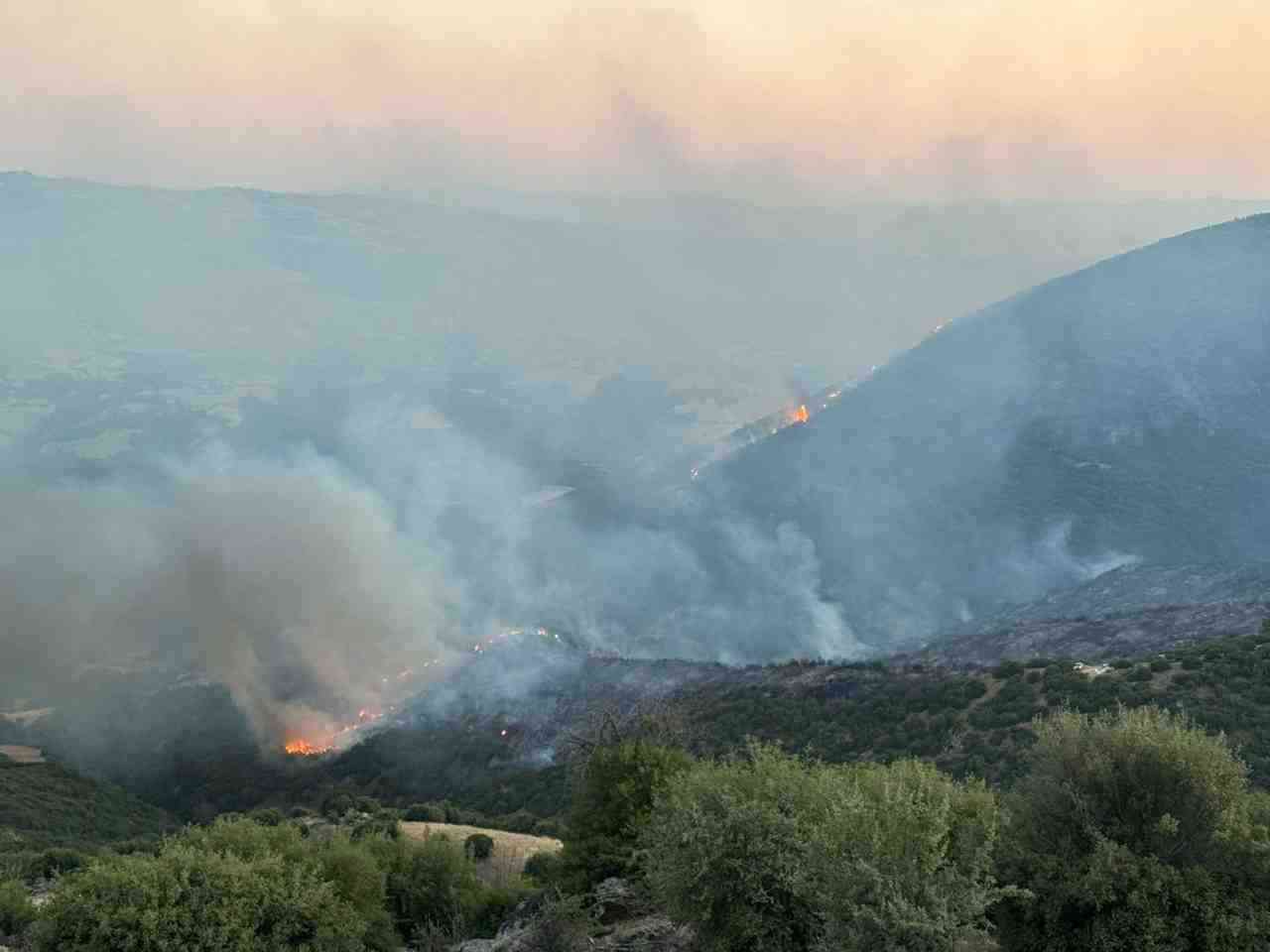 Yangın Rüzgarın Etkisiyle Hızla YayılıyorManisa’nın Sarıgöl ilçesine bağlı Ziyanlar Mahallesi