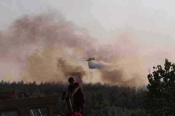 MANİSA’nın Saruhanlı ilçesi Apak Mahallesi’nde çıkan orman yangını kontrol altına