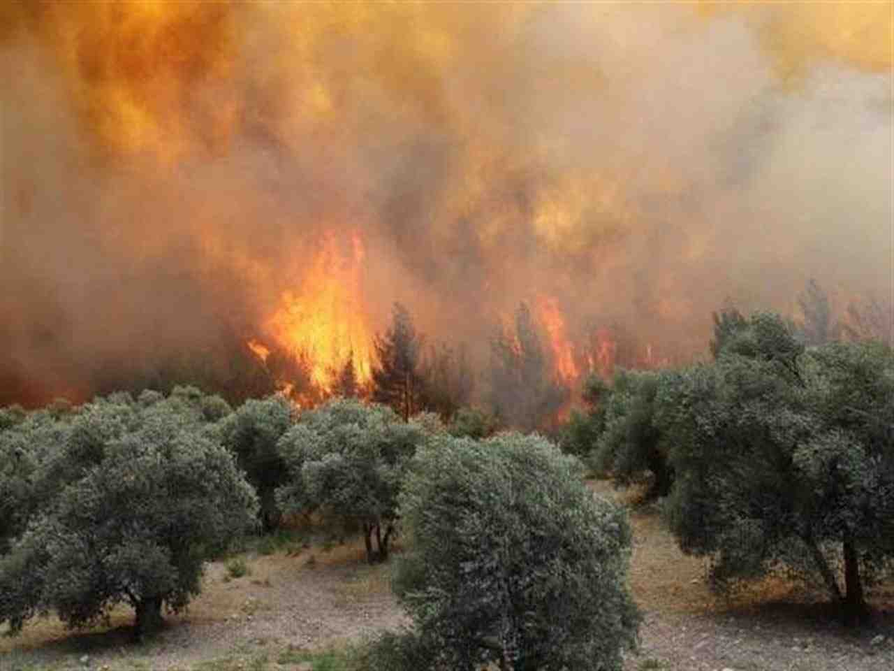 Manisa’nın Saruhanlı ilçesine bağlı Apak ve Seyitoba mahallelerinde çıkan iki