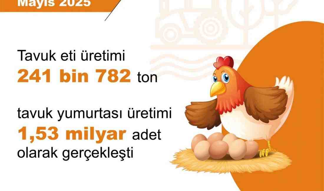 Türkiye İstatistik Kurumu (TÜİK), 2025 yılı Mayıs ayına ilişkin kümes