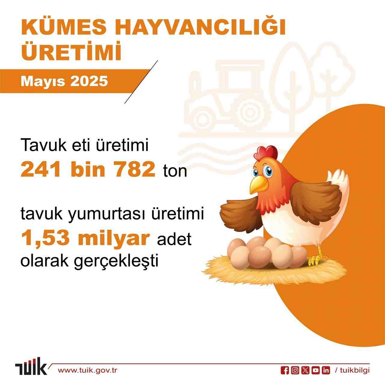 Türkiye İstatistik Kurumu (TÜİK), 2025 yılı Mayıs ayına ilişkin kümes