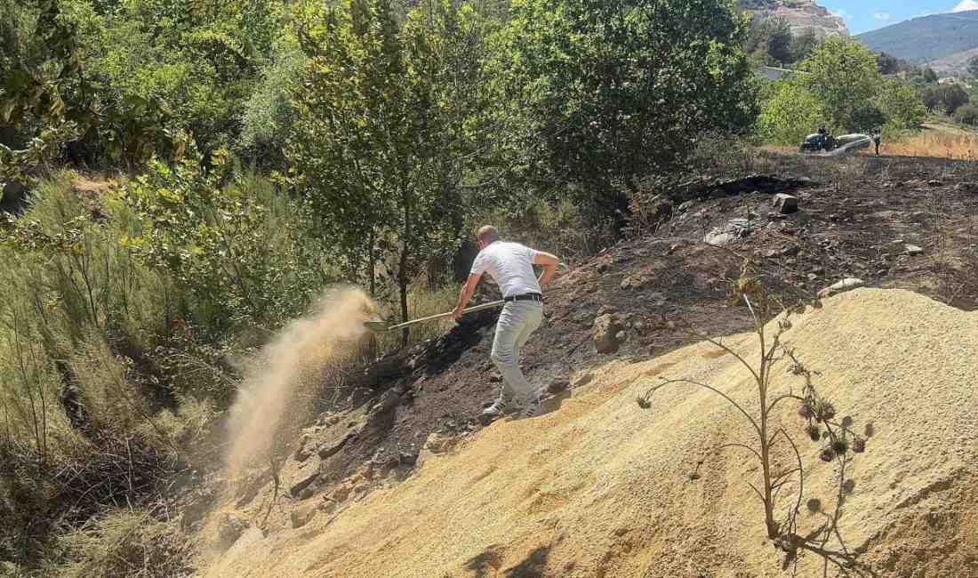 Sakarya’nın Pamukova ilçesinde dere kenarında çıkan yangın, rüzgarın etkisiyle kısa