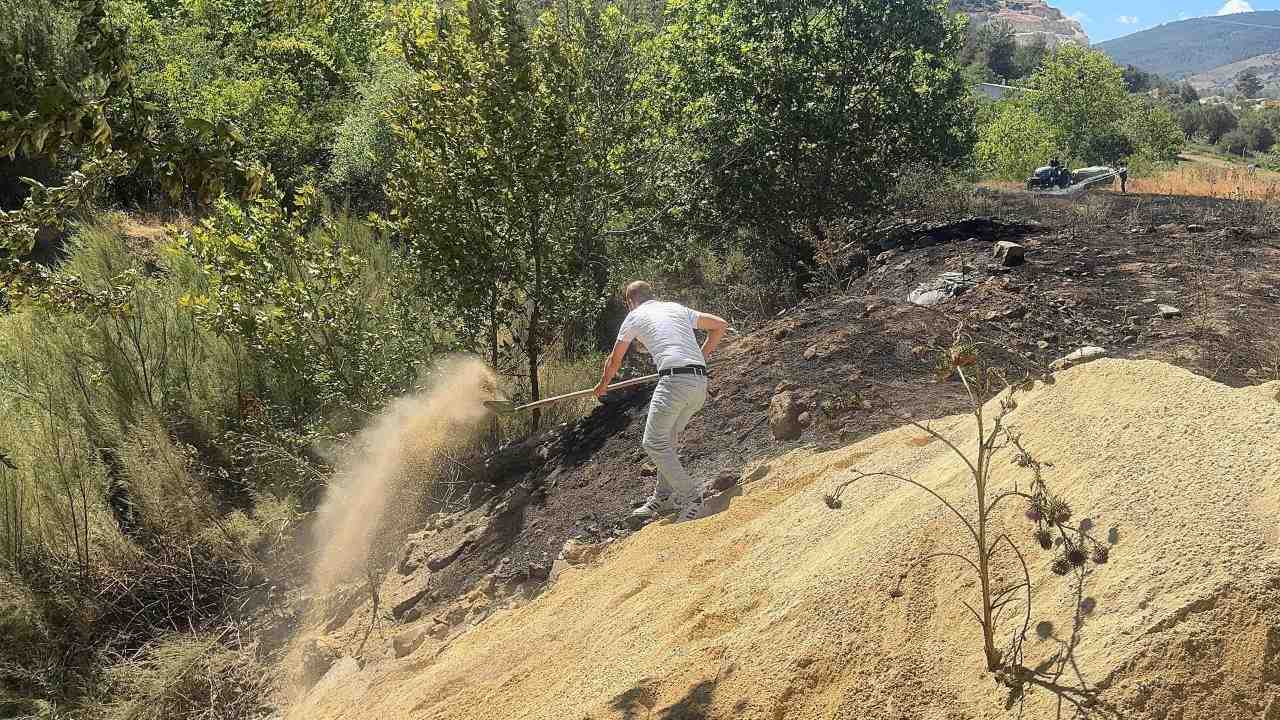 Sakarya’nın Pamukova ilçesinde dere kenarında çıkan yangın, rüzgarın etkisiyle kısa