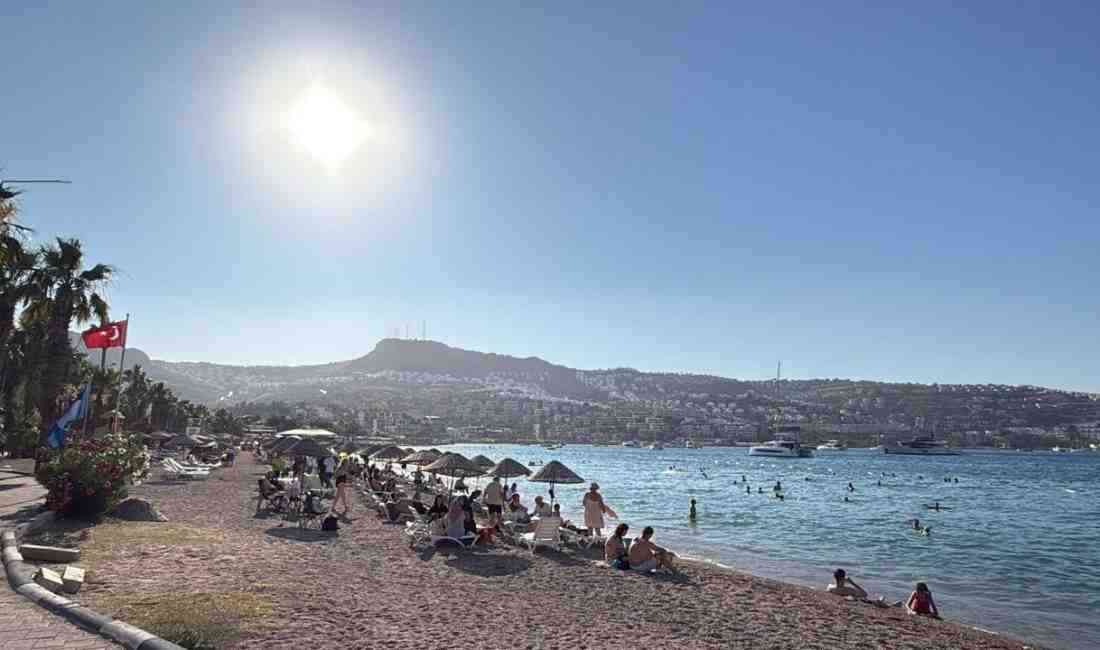 Muğla Sıtkı Koçman Üniversitesi’nden (MSKÜ) Doç. Dr. Ceyhun Özçelik, Türkiye’nin