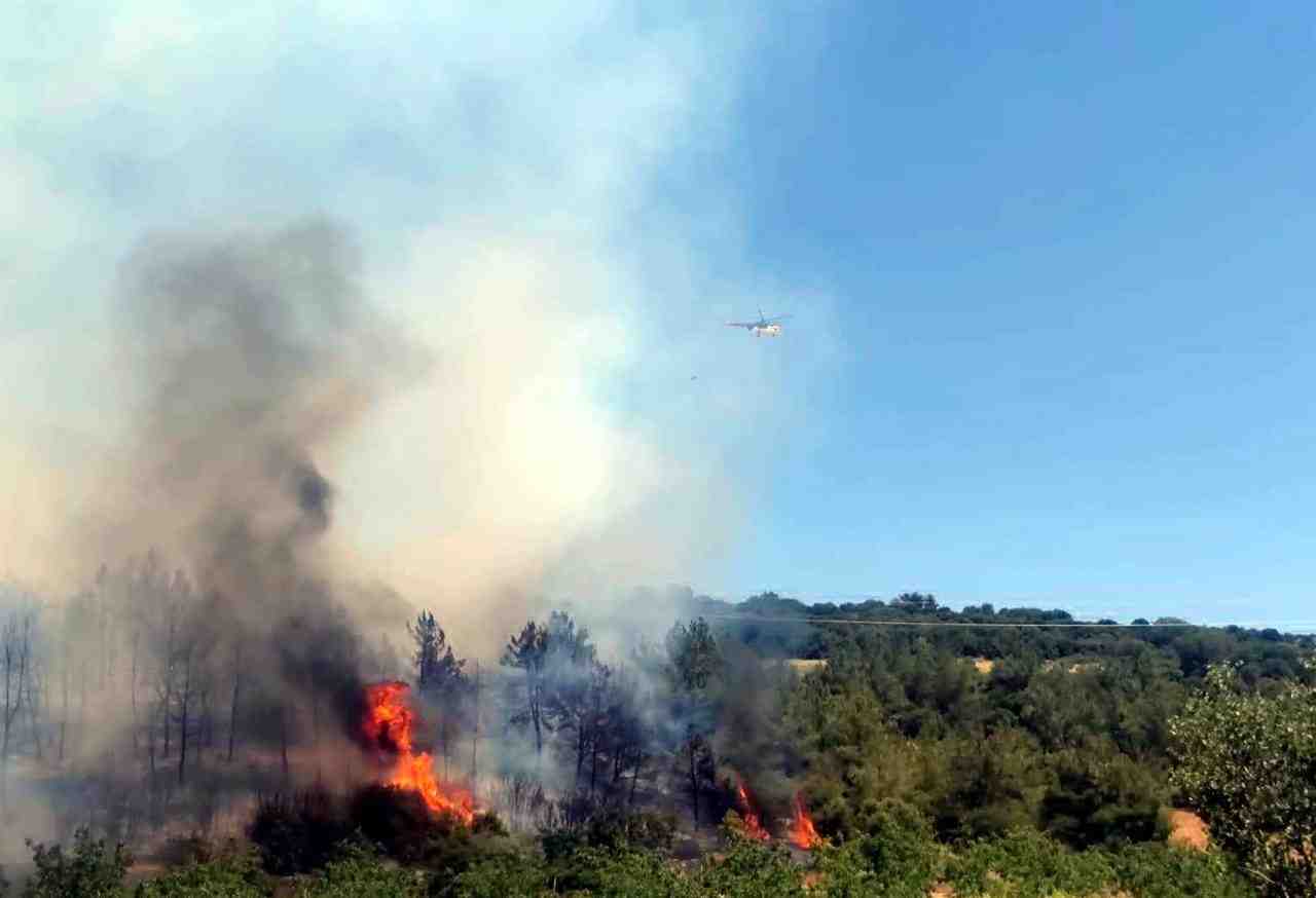 Tekirdağ’ın Şarköy ilçesinde çıkan anız yangını, rüzgarın etkisiyle hızla ormanlık