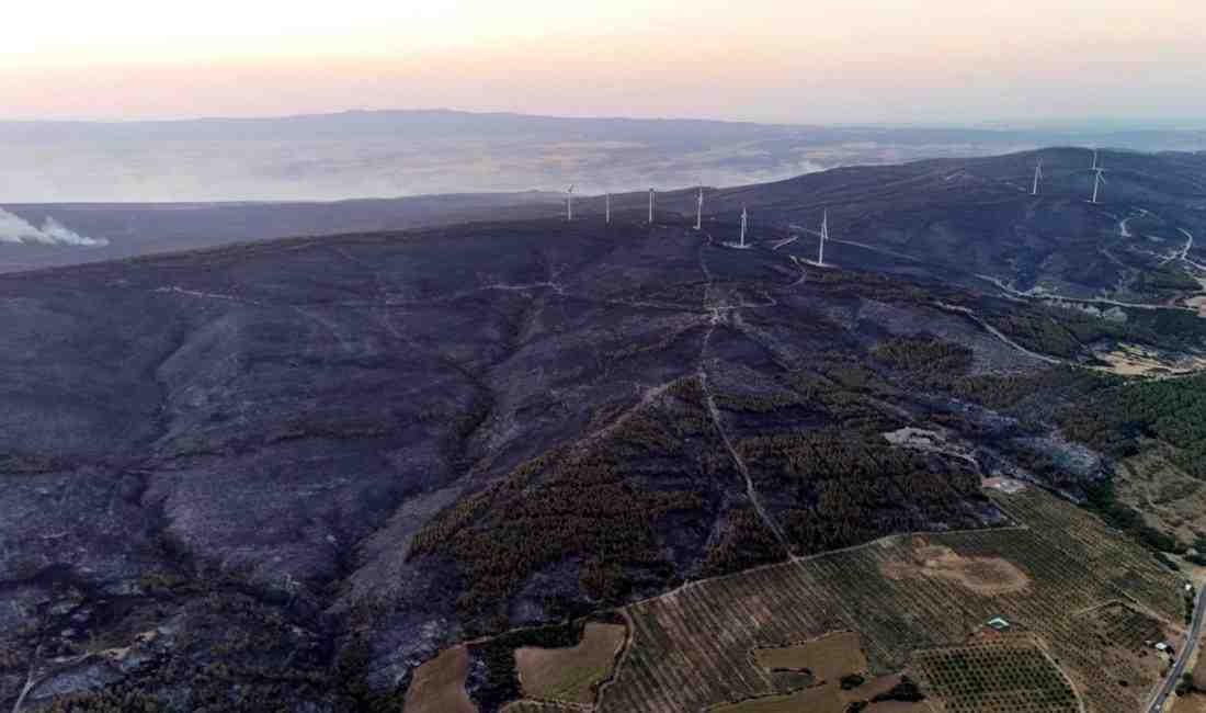 Tekirdağ Şarköy’deki Orman Yangını 45,5 Saat Sonra Kontrol Altına Alındı Tekirdağ’ın Şarköy ilçesinde 15 Temmuz’da başlayan orman yangını, 45,5 saat