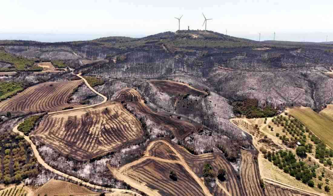 3 mahalle tahliye edildi, ormanlık alan küle döndüTekirdağ’ın Şarköy ilçesine