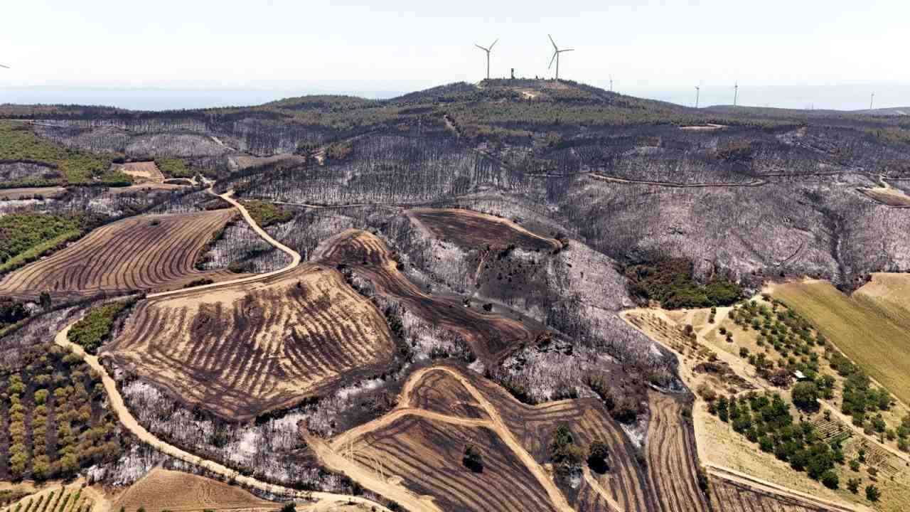 3 mahalle tahliye edildi, ormanlık alan küle döndüTekirdağ’ın Şarköy ilçesine