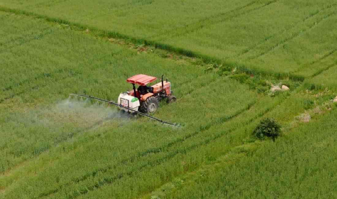 Tarım ve Orman Bakanı İbrahim Yumaklı, devlet destekli tarım sigortası