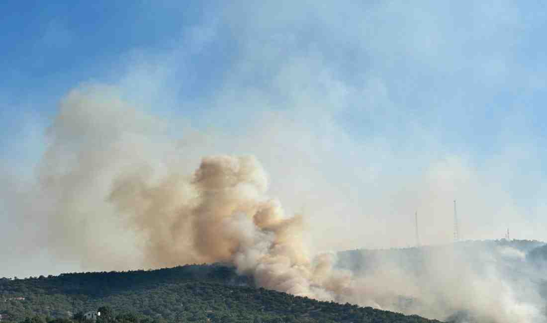 Uşak’ın Eşme ilçesinde tarım arazisinde başlayan yangın, rüzgarın etkisiyle büyüyerek