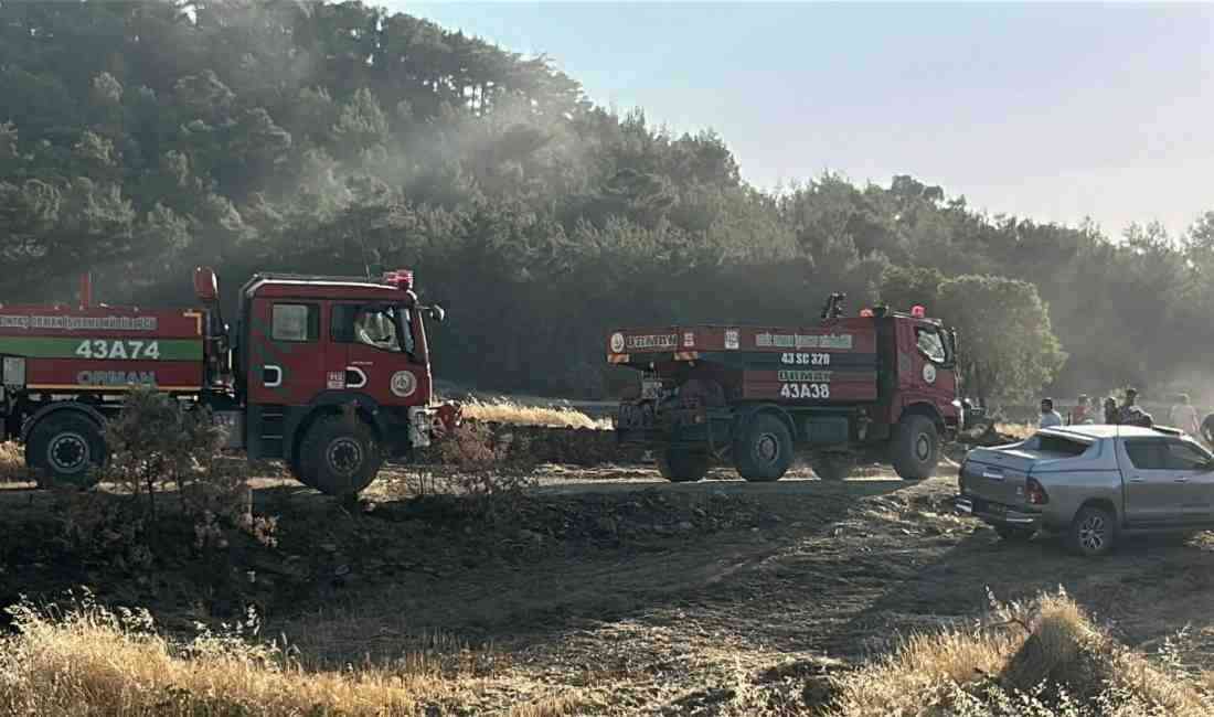 Tarlada Başladı, Ormana ve Meşelik Alana YayıldıUşak’ın merkez ilçesine bağlı
