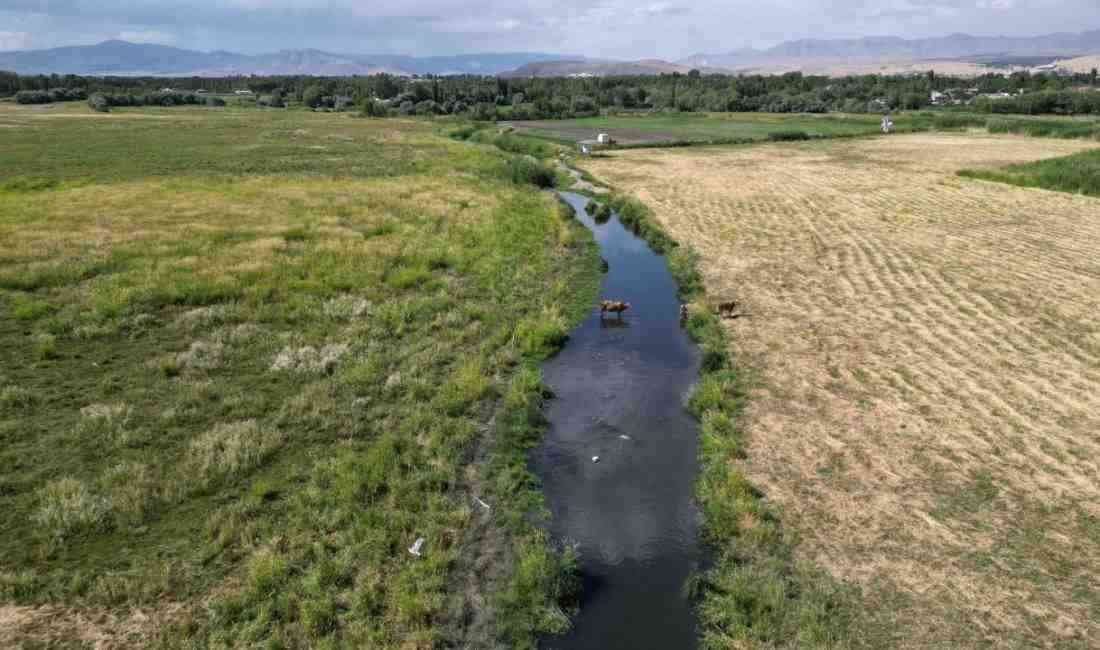 Van Gölü’nde yaşanan su seviyesi düşüşü, iklim değişikliği ve kuraklığın