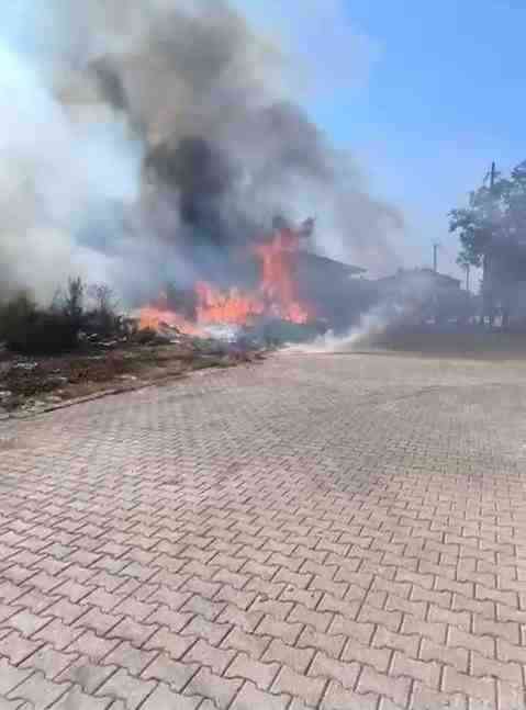 Yalova’nın Çınarcık ilçesine bağlı Teşvikiye beldesinde, belediye binasının arkasında bulunan