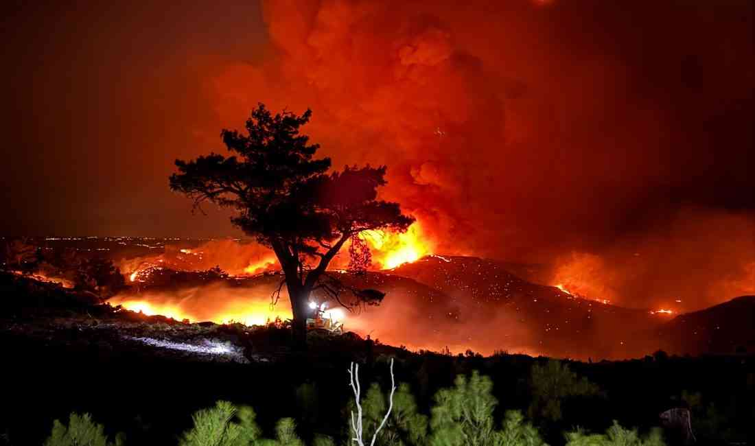 Balandız Mahallesi‘nde 13 Ağustos’ta çıkan, 15 bin dönüm ormanın küle