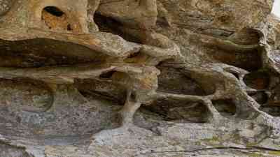 Aydın ve Muğla arasında yer alan Beşparmak Dağları’nda (Latmos), Ekosistemi