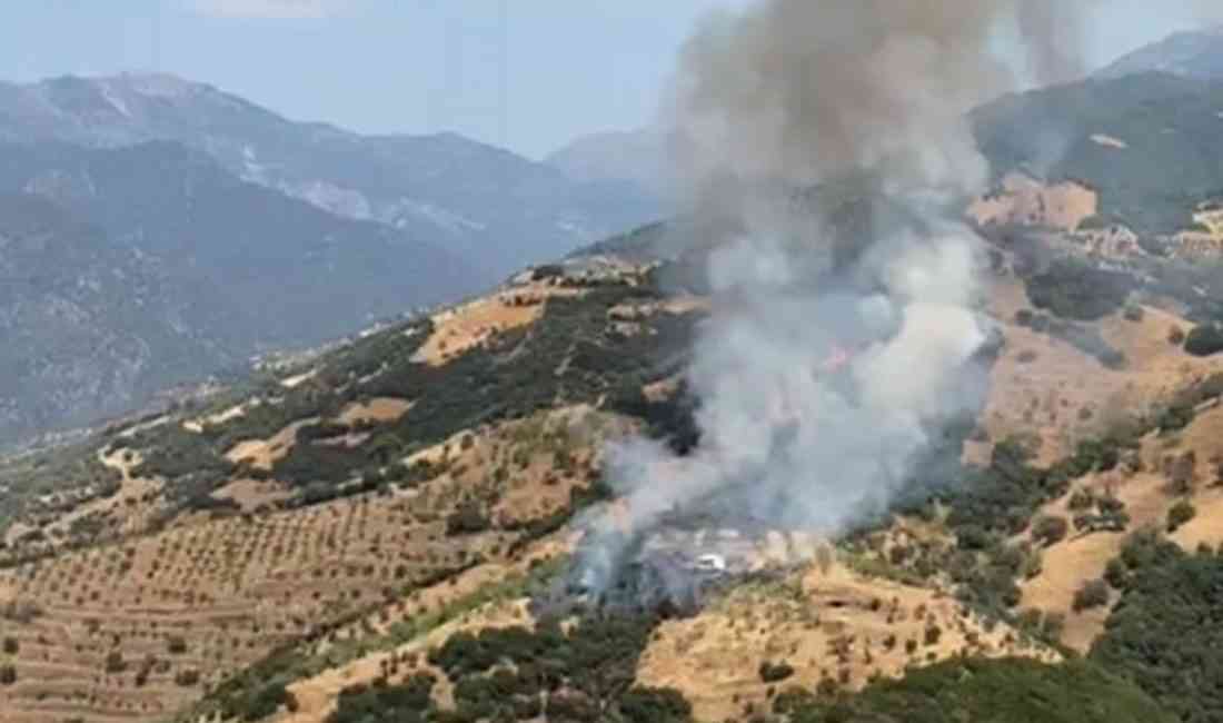 Konuklu Mahallesi’nde Tarım Arazisi Alevlere Teslim Oldu Aydın’ın Efeler ilçesinde