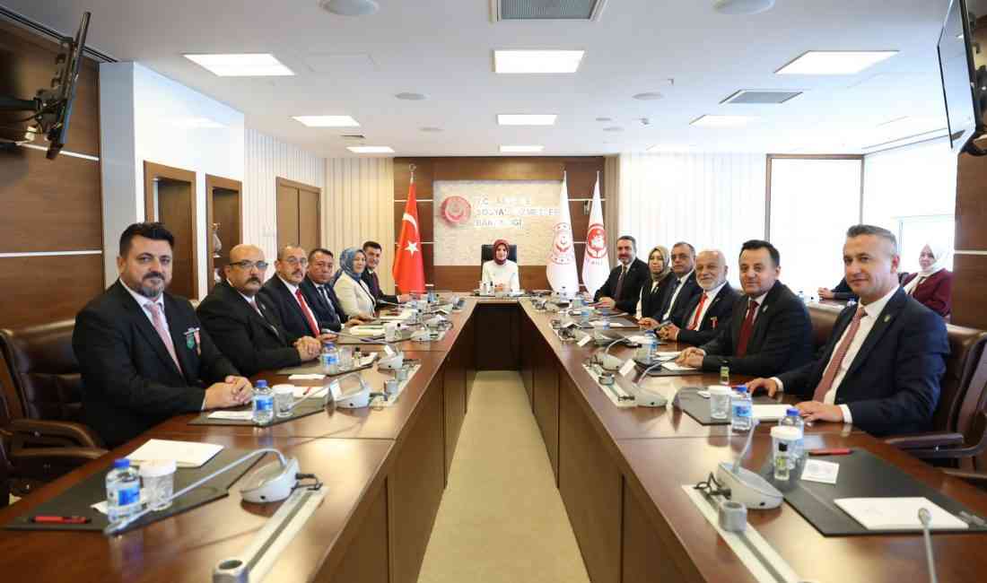 Aile ve Sosyal Hizmetler Bakanı Mahinur Özdemir Göktaş, Türkiye Harp