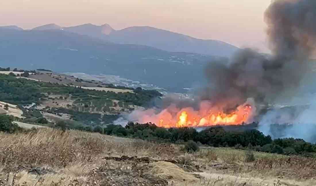 Balıkesir’in Susurluk ilçesinde, Günaydın Mahallesi yakınlarındaki ormanda çıkan yangına müdahale