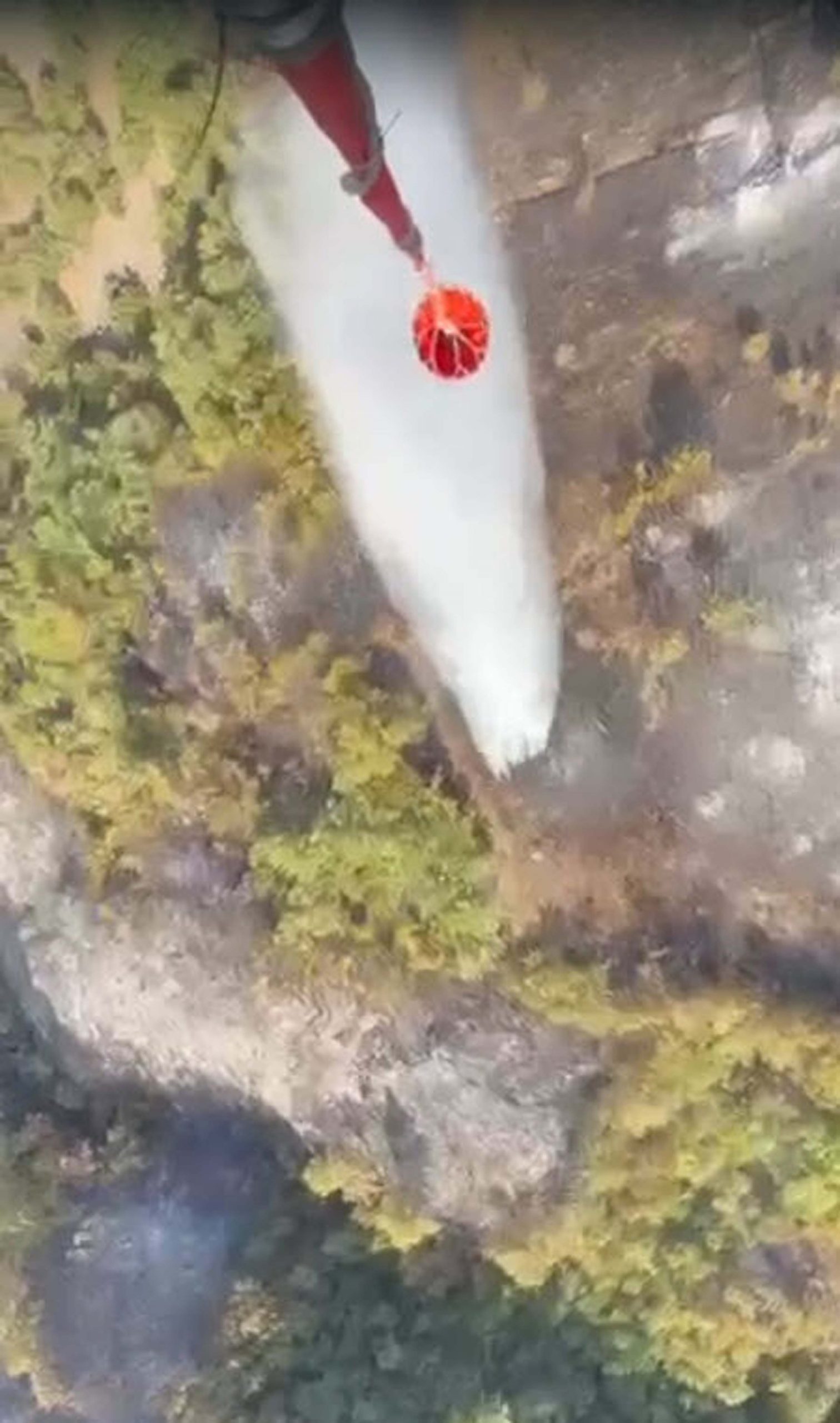 Balıkesir’in Kepsut ilçesinde tarım arazisinde başlayan ve ormana sıçrayan yangın,