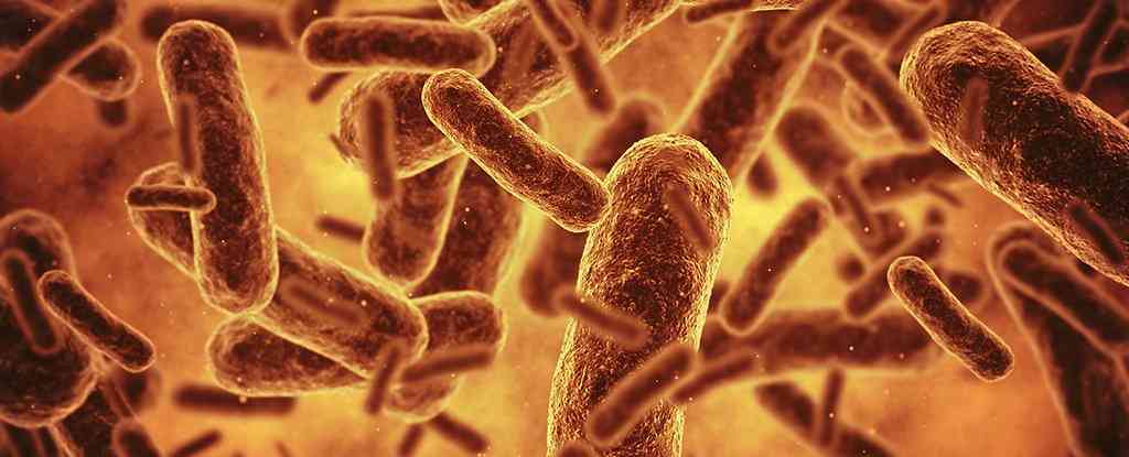 Bilim insanları, genetik kodu büyük ölçüde sadeleştirilmiş yeni bir bakteri