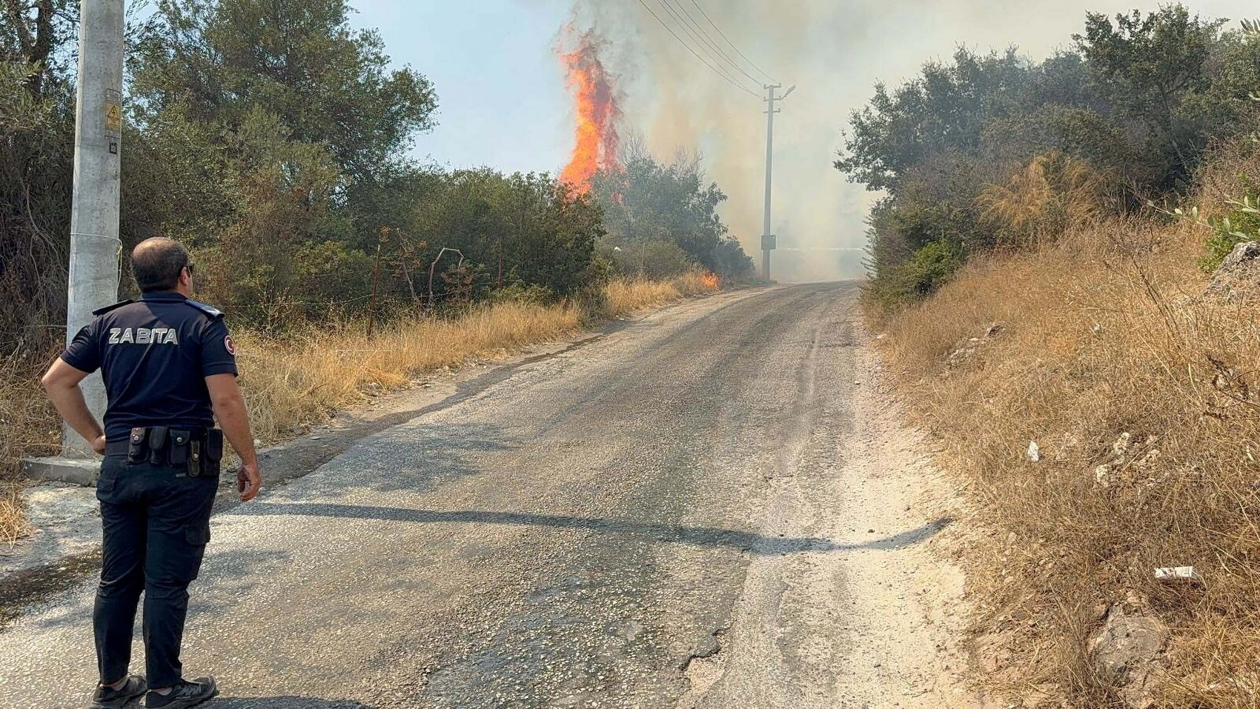 Muğla’nın Bodrum ilçesinin Yakaköy Mahallesi’nde, saat 14.30 sıralarında makilik alanda