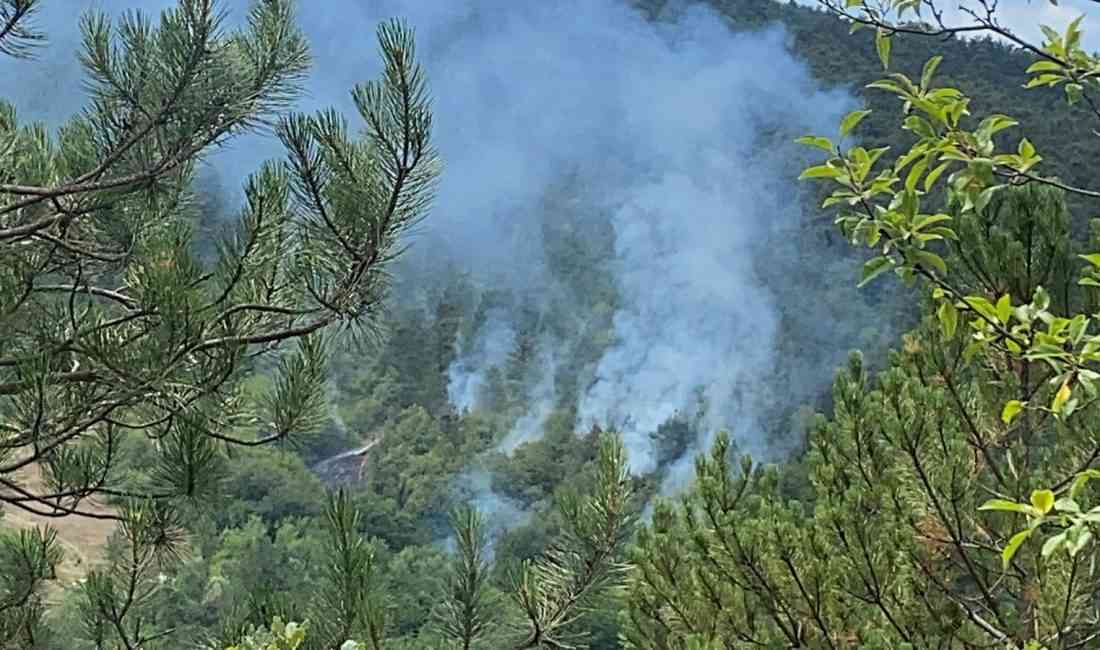 Bolu’nun Mudurnu ilçesi Pelitcik köyü mevkisinde çıkan orman yangını, hızla