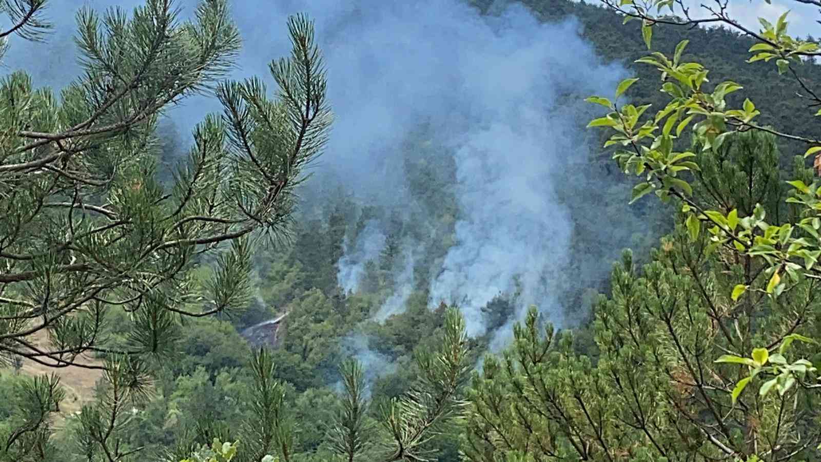 Bolu’nun Mudurnu ilçesi Pelitcik köyü mevkisinde çıkan orman yangını, hızla