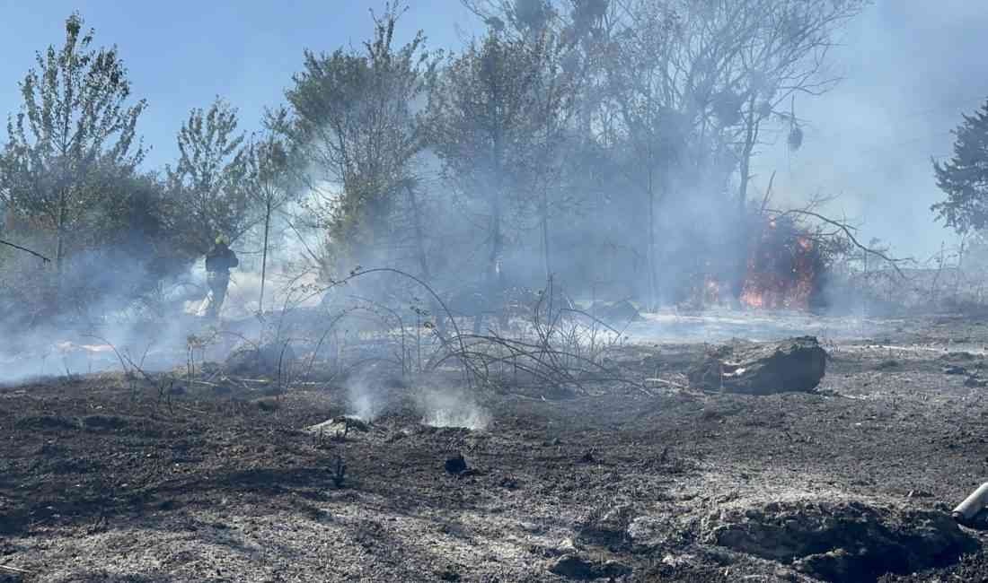 Bolu’da, Alpağut Mahallesi 265 Sokak yakınlarında saat 15.30 sıralarında ormanlık