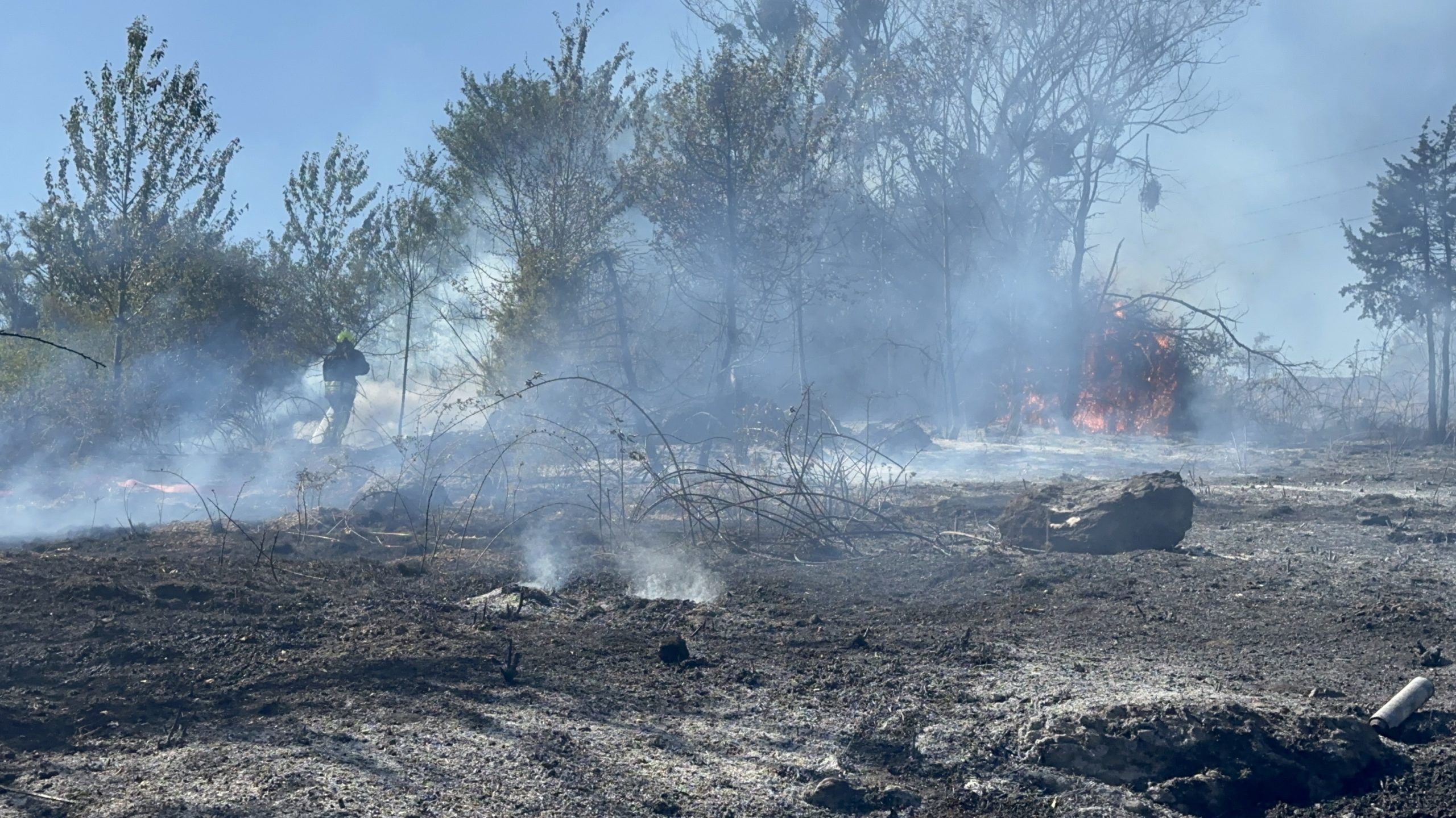 Bolu’da, Alpağut Mahallesi 265 Sokak yakınlarında saat 15.30 sıralarında ormanlık