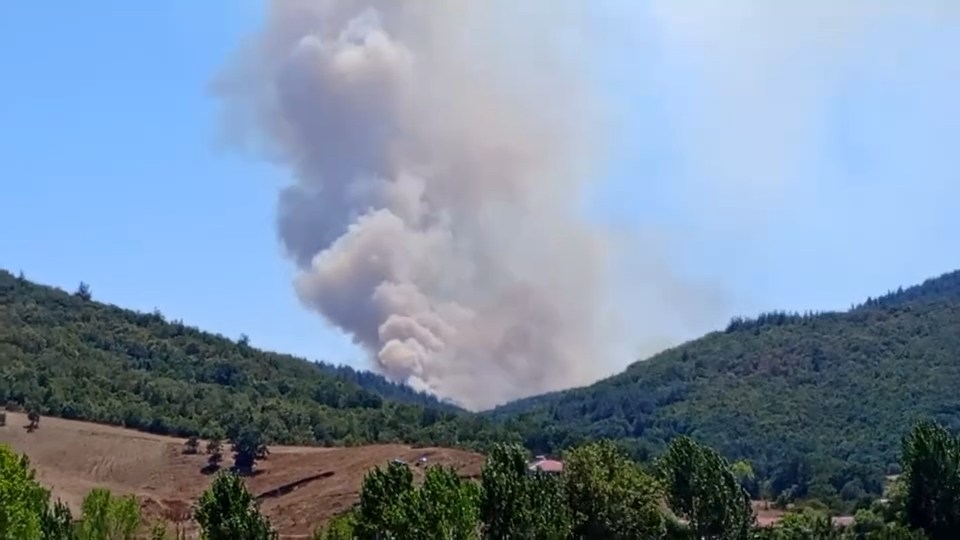 Bursa’nın Yenişehir ilçesinde orman yangını çıktı. Yangına ekiplerin havadan ve