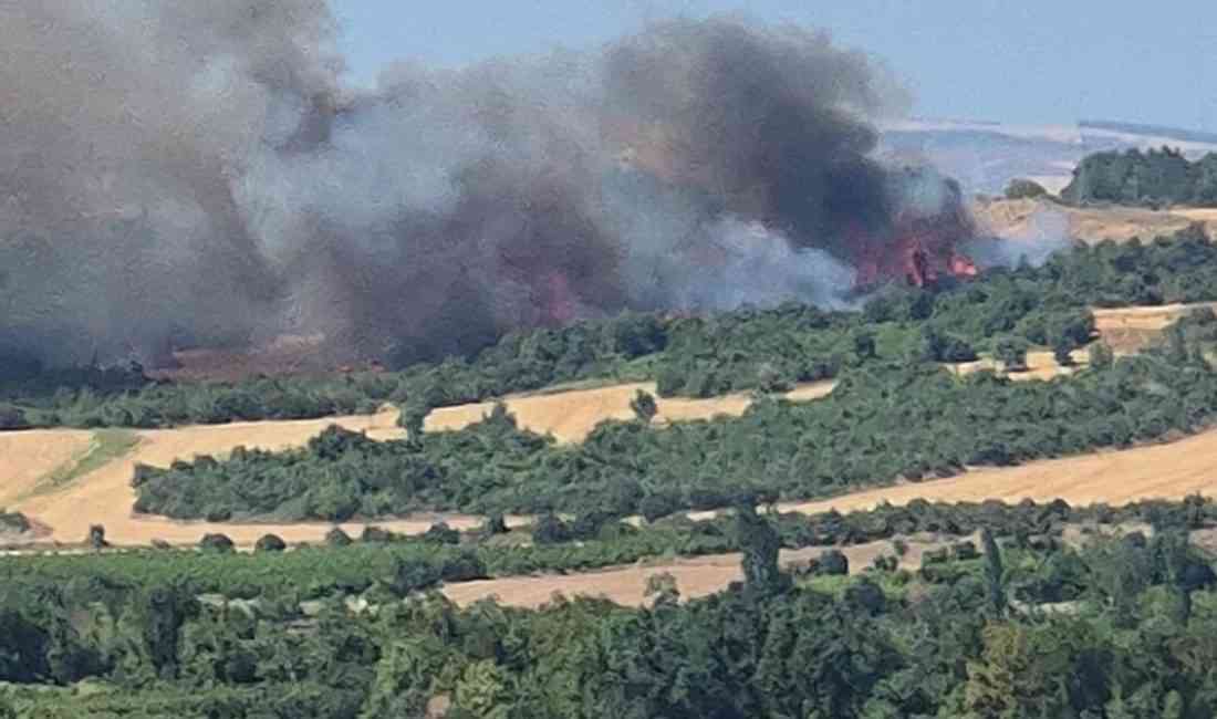 Çanakkale’nin Lapseki ilçesinin Umurbey beldesine bağlı Gökköy yakınlarında, tarım arazisinde