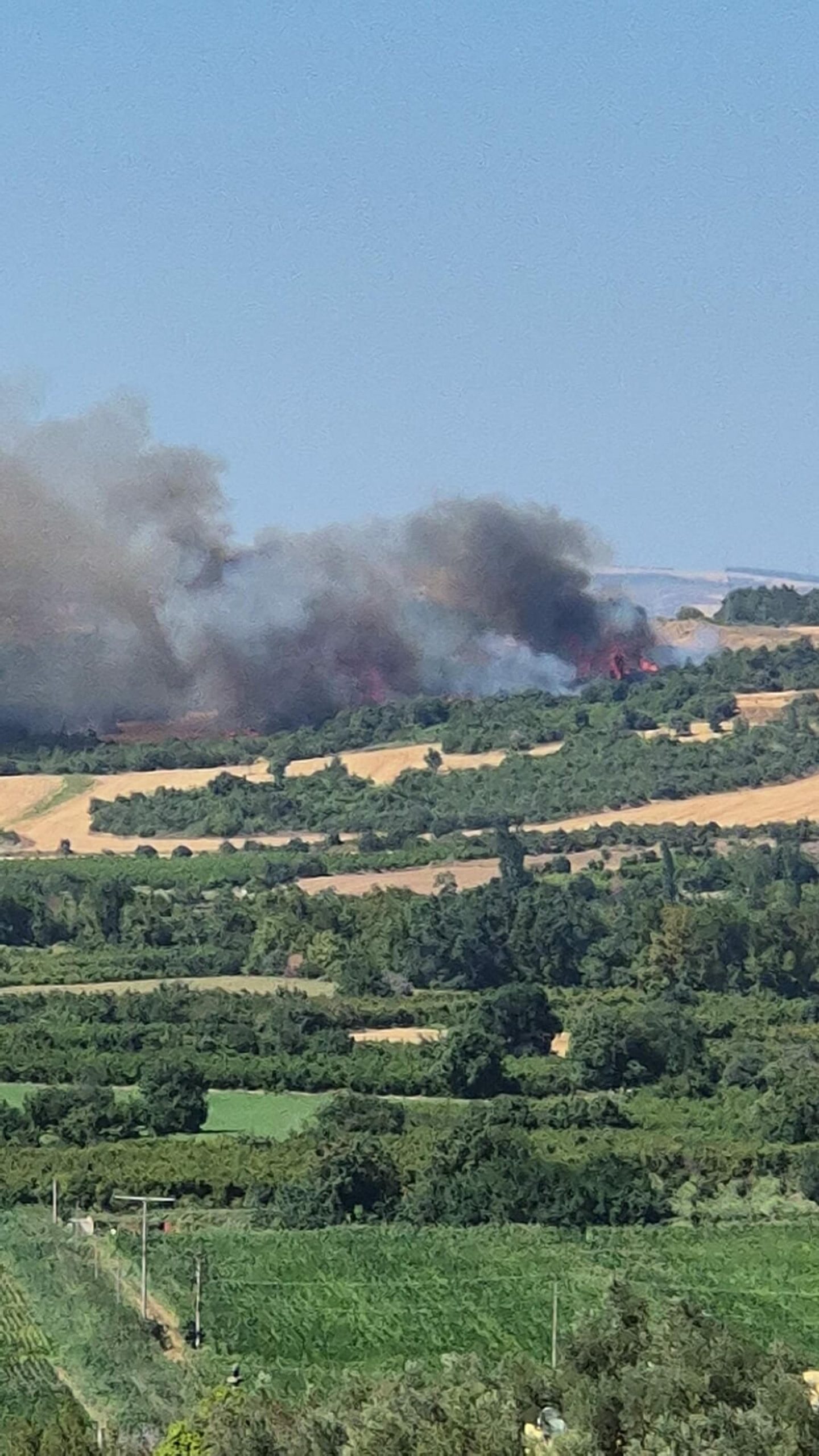 Çanakkale’nin Lapseki ilçesinin Umurbey beldesine bağlı Gökköy yakınlarında, tarım arazisinde