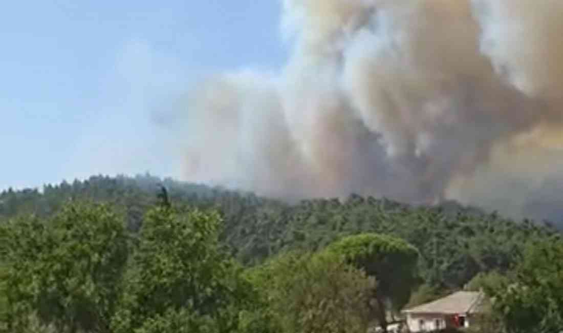 Çanakkale’nin Gelibolu ilçesine bağlı Ilgardere köyü yakınlarındaki ormanda, bugün saat
