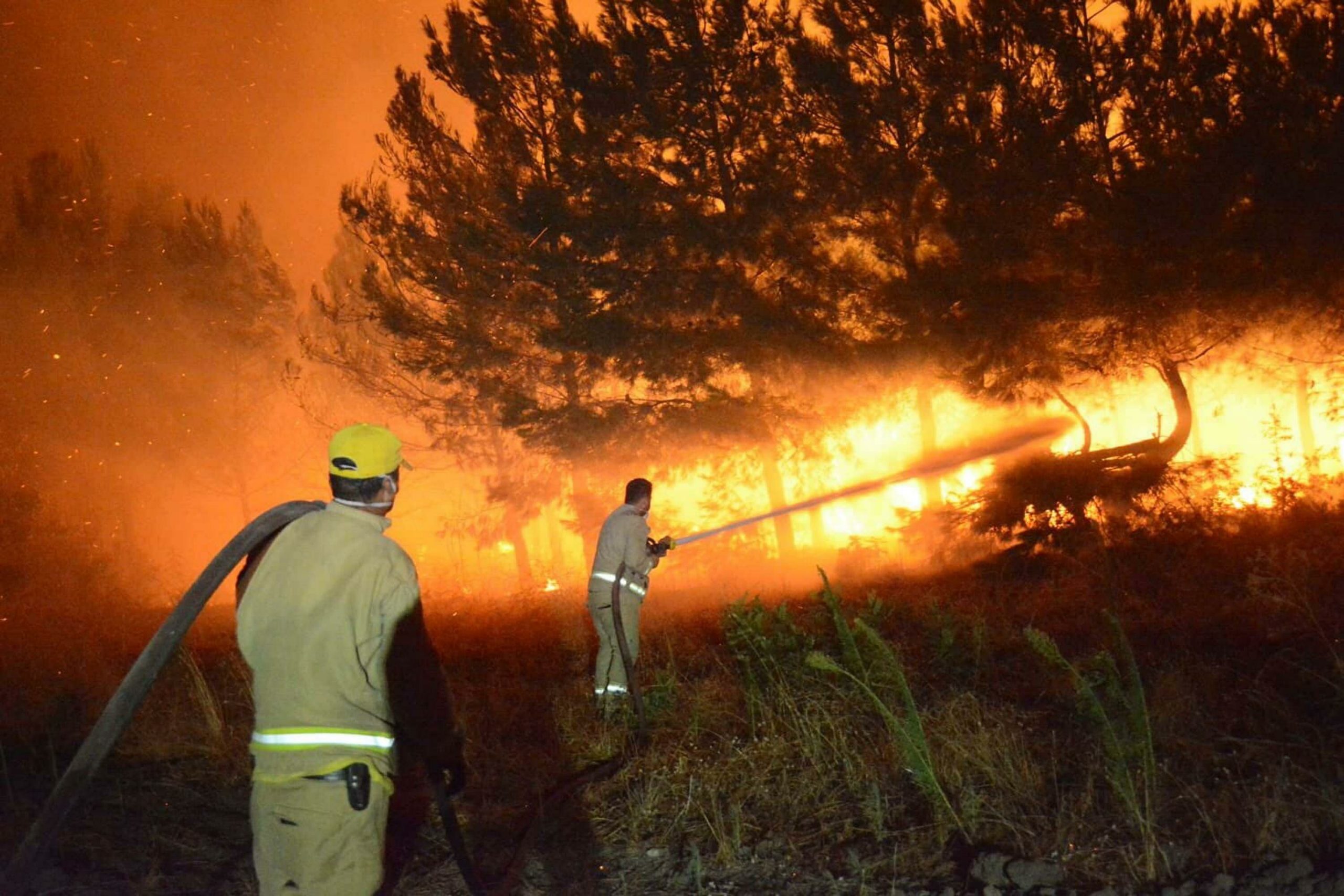 Çanakkale’nin çeşitli bölgelerinde 8-18 Ağustos tarihleri arasında çıkan orman yangınlarında