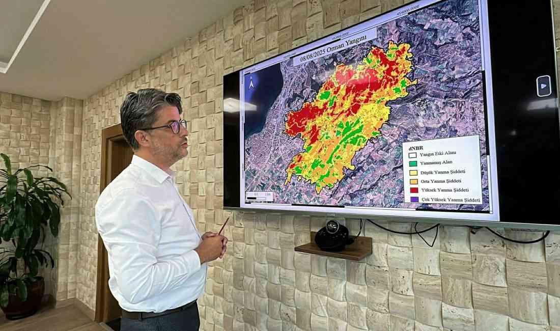 ÇANAKKALE – Çanakkale’nin Sarıcaeli köyü ile Kepez beldesinde çıkan orman