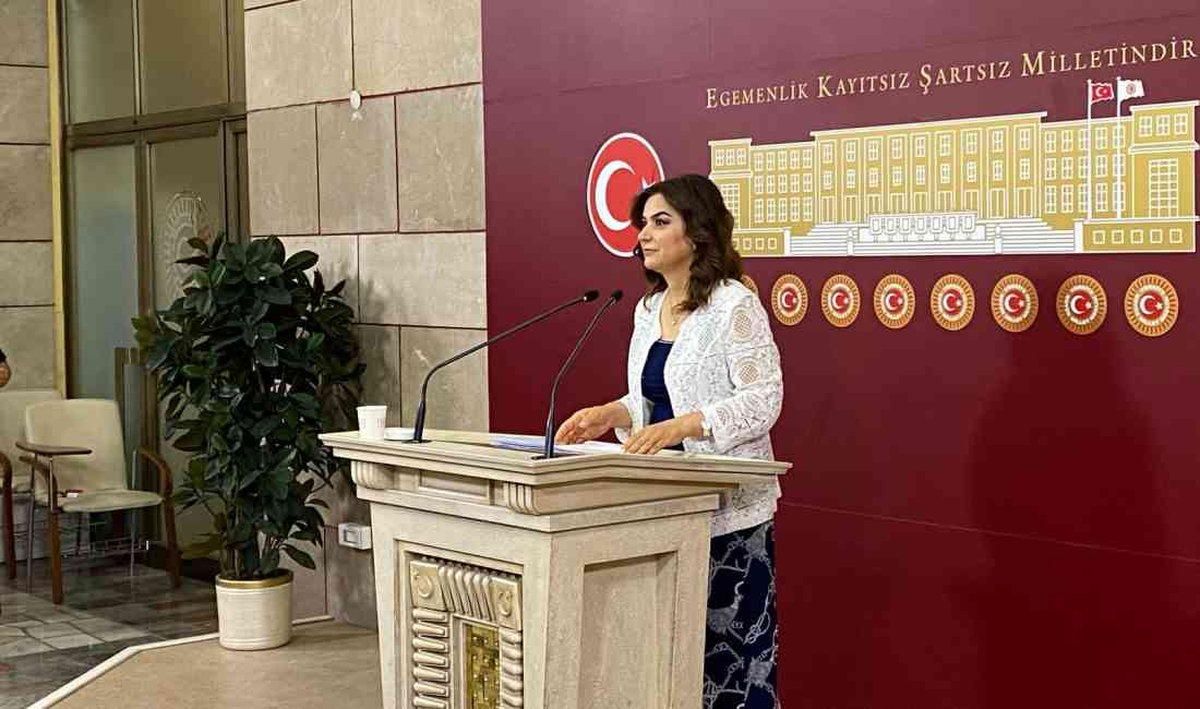 DEM Parti Grup Başkanvekili Gülistan Kılıç Koçyiğit, Türkiye Büyük Millet